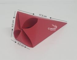 Cx. P/  Cone - 17,5x6,0x6,0 